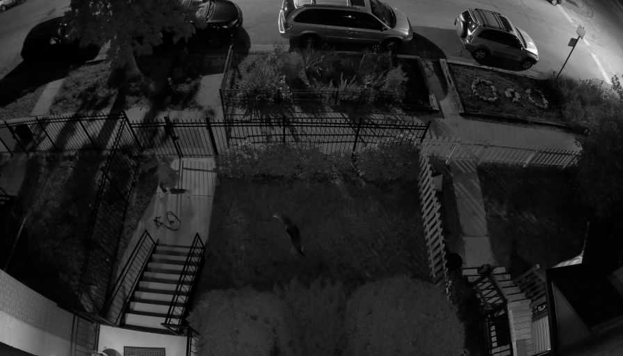 Reolink Camera One_00_Reolink Home Hub One_20260530212205.jpg